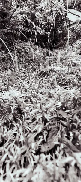 arka plan siyah ve beyaz