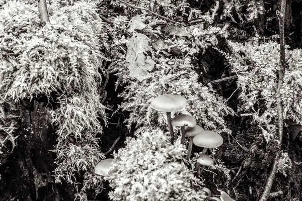 Doğanın güzel manzarası