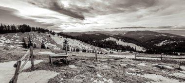 Gündüzleri ormandaki dağların güzel manzarası.