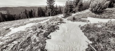 Karla kaplı ağaçlarla kaplı kış manzarası