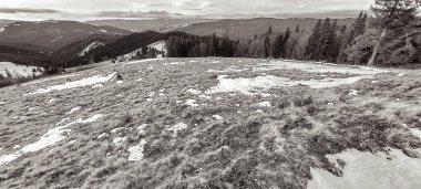 Orman, Karpatlar, Doğa Fotoğrafları - Avrupa, Doğu Avrupa, Romanya 
