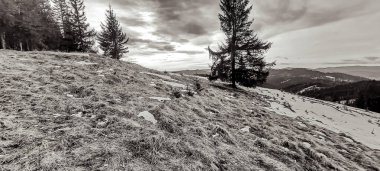 Karla kaplı ağaçlarla kaplı kış manzarası