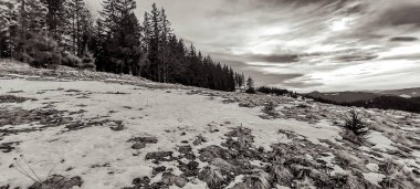 Dağlarda karla kaplı ağaçlarla kaplı güzel bir manzara.