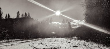 Karla kaplı ağaçlarla kaplı güzel kış manzarası