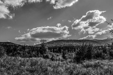 Karpatlar 'da sonbahar mevsiminde dağların tepelerinde siyah ve beyaz bulutlar vardı.