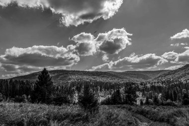 Karpat Dağları 'ndaki dağların siyah beyaz fotoğrafı.