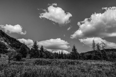 Siyah ve beyaz bulutlar dağ manzarası üzerinde ağaçlar ön planda.