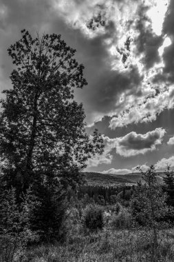 Gökyüzünde siyah ve beyaz bulutlar