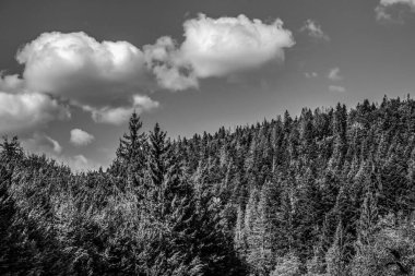 Dağların güzel manzarası