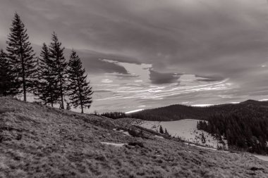 Karpat Dağları 'ndaki bir dağ manzarasının siyah beyaz fotoğrafı