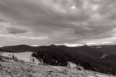 Kışın siyah ve beyaz dağlar. Karpat Dağları