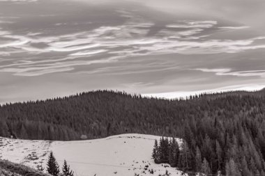 Karpatya dağlarında kış