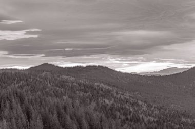 Karpatların dağları