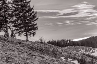 Ağaçlı güzel kış manzarası