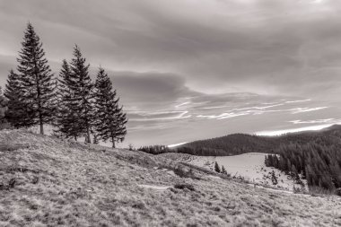 Karlı güzel kış manzarası