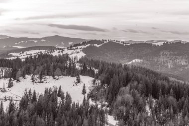 köknar ormanlı kış dağı manzarası