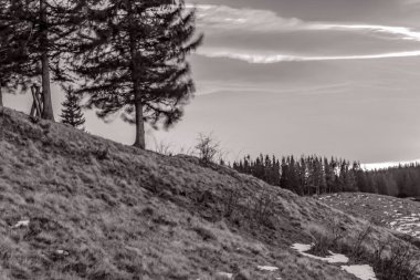 Orman, Karpatlar, Doğa Fotoğrafları - Avrupa, Doğu Avrupa, Romanya 