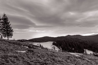 Arkasında kar ve köknar ormanı olan güzel bir dağ manzarası.