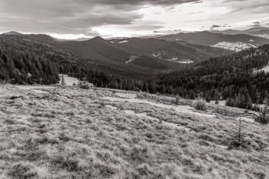 Dağları ve ormanı olan güzel bir manzara.