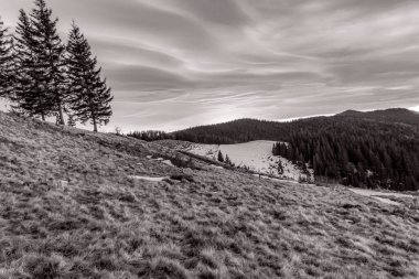 Ağaçlar ve bulutlarla dolu güzel bir manzara.
