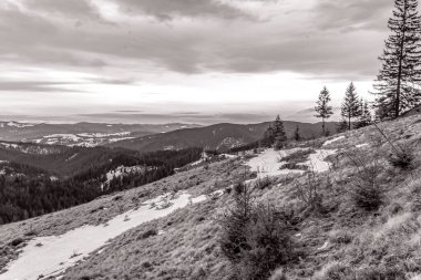 Karpatların yaz aylarındaki dağlarının siyah beyaz fotoğrafı. Dağ çok güzel ve benzersiz bir doğa..