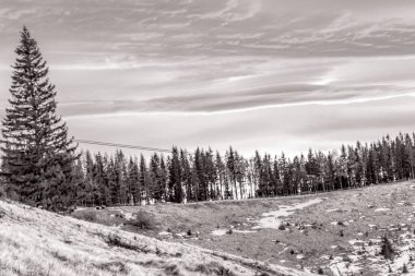 Arkasında dağ olan bir ağacın siyah ve beyaz görüntüsü