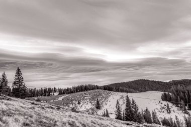 Karpatların dağlardaki panorama manzarası