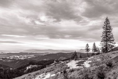 Önünde ağaçlar olan güzel bir dağ manzarası.
