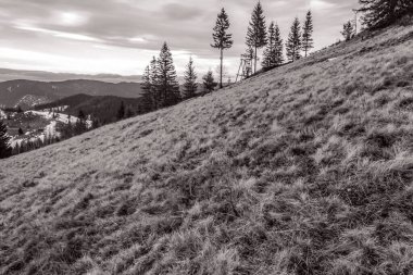 siyah ve beyaz manzara. Karpat Dağları. ukraine