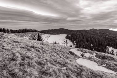 Ormandaki dağların güzel manzarası