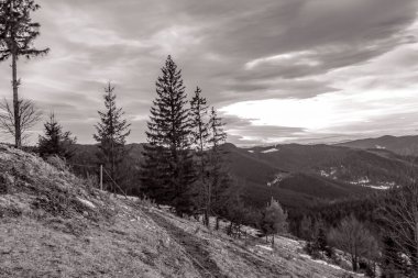 Ukrayna Karpatları 'nın tepesinden güzel bir manzara..