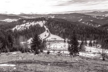 Dağlarda ağaçlarla çevrili ahşap bir evin dikey görüntüsü.