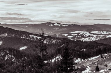 Kışın Karpatların dağları. İnsansız hava aracı olan güzel bir orman..