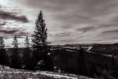 Karpatların dağlarında güzel bir manzara. ukraine