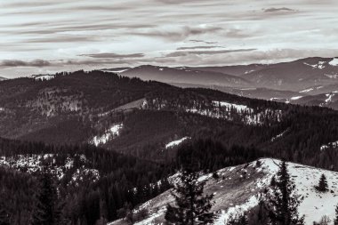 Karlı köknar ormanlarıyla güzel kış manzarası
