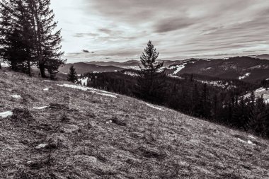 Orman, Karpatlar, Doğa Fotoğrafları - Avrupa, Doğu Avrupa, Romanya 