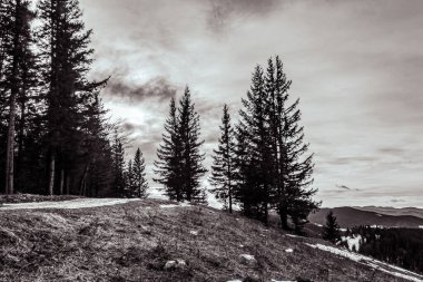 Karla kaplı ağaçlarla kaplı güzel kış manzarası