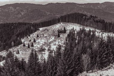 Kışın güzel dağ ormanları, Karpatlar, Ukrayna. seyahat kavramı