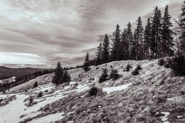 Karpatya dağlarında bulutlu gökyüzü olan güzel dağ manzarası