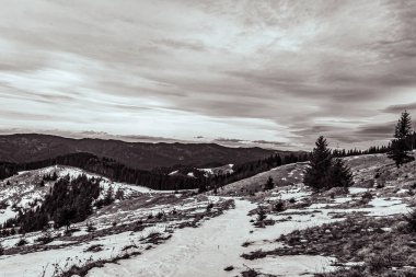 Ormandaki karlı dağ sırasının dikey görüntüsü.