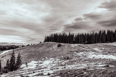 Karpatya dağlarındaki dağ manzarasının dikey görüntüsü.