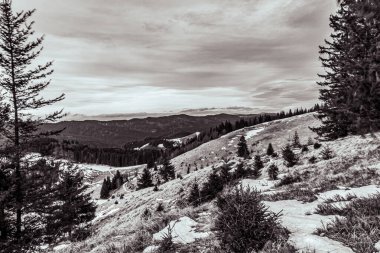Karpat Dağları 'nın güzel manzarası