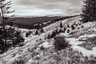 Karpatlar 'ın güzel dağları, Ukrayna..