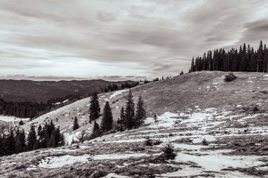 Colorado 'daki ulusal parktaki kayalık dağların dikey görüntüsü.