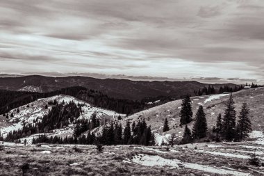 Güzel dağ manzarası. Karpat Dağları 'nın siyah beyaz fotoğrafı.