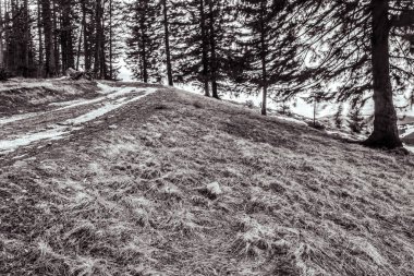 Dağlardaki güzel kış manzarası