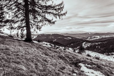Dağ büyük Thach doğal park