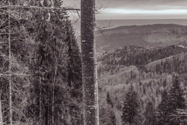 Güzel kış dağ manzarası