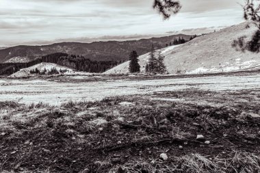 Karpat dağlarında güzel bir dağ manzarası.