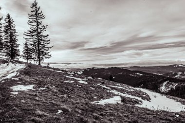 Slovakya 'daki karlı dağların güzel bir görüntüsü.